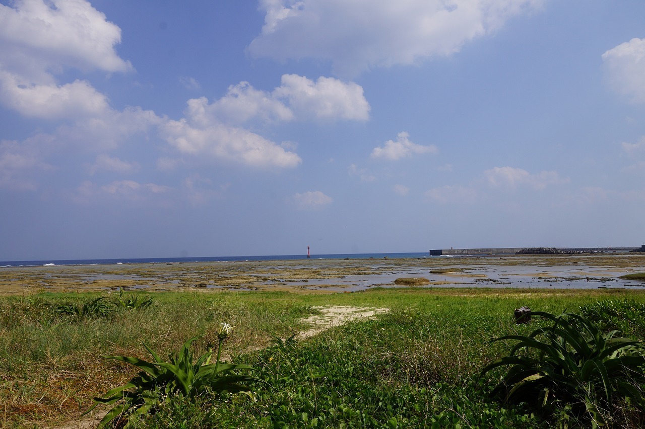 大瀬海岸