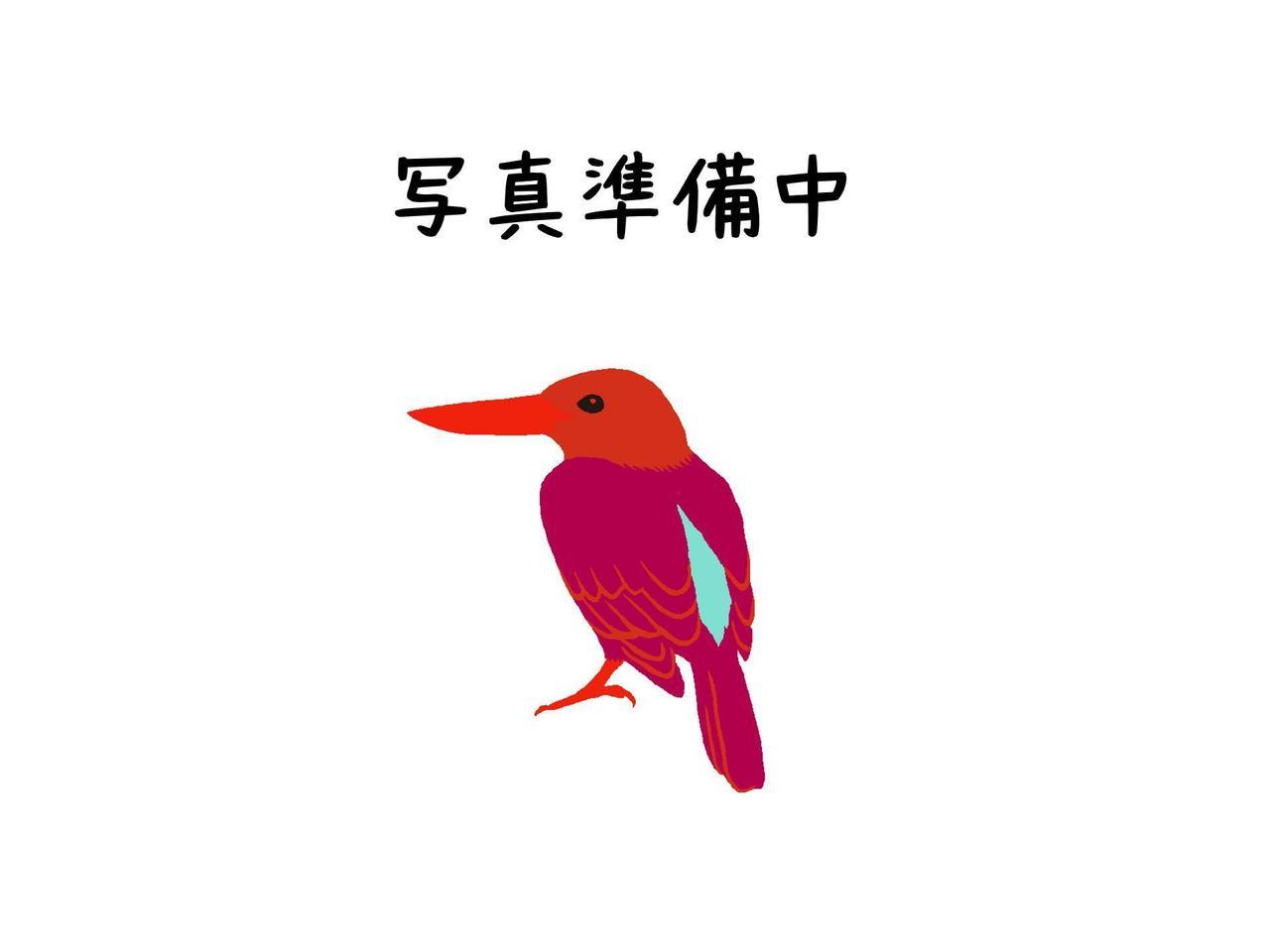 ルリカケスタオル