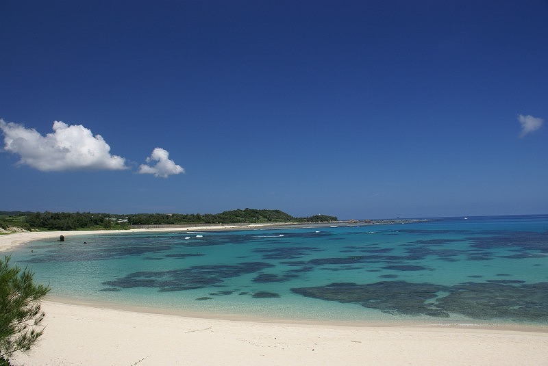 土盛海岸