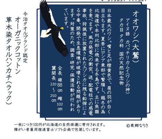 新品未開封　地域の自然を守るタオル　13点セット　ハンカチ　オーガニック　今治 野鳥のオーガニックタオルハンカチ - 太平電機ECOひいきプロジェクト